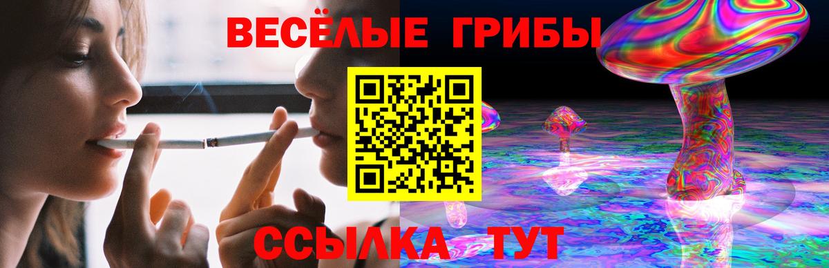 Псилоцибиновые грибы прущие грибы Чернушка